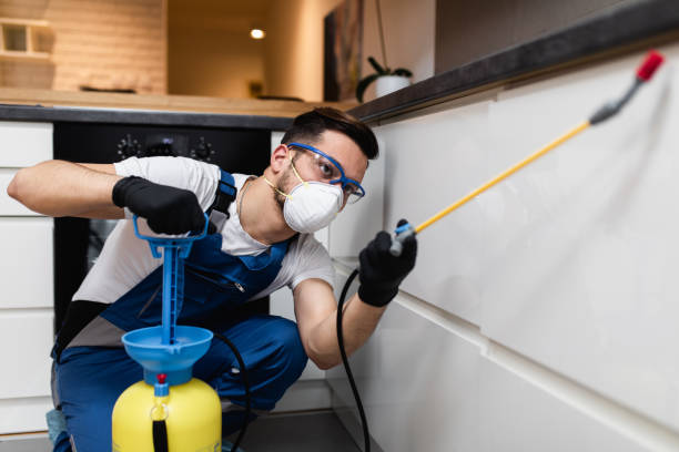 Best Affordable Pest Control Services  in Village Green Green Ridge, PA
