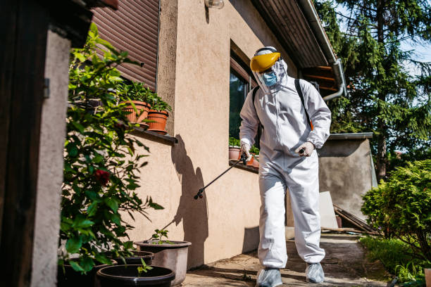 Best Local Pest Control Services  in Village Green Green Ridge, PA
