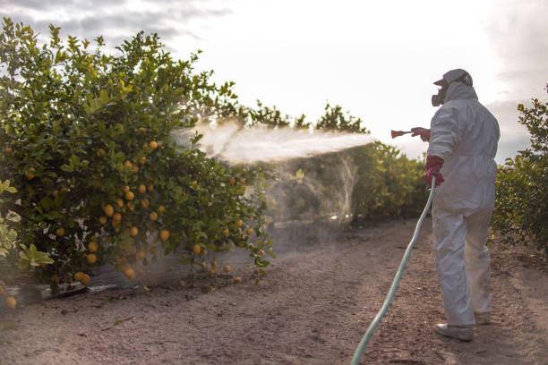 Best Insect Control  in Village Green Green Ridge, PA