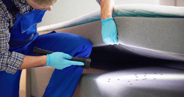 Professional Pest Control in Village Green Green Ridge, PA