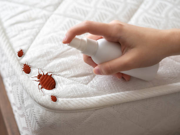 Best Termite Control Services  in Village Green Green Ridge, PA