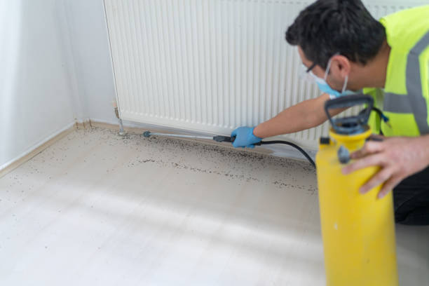 Best Best Pest Control Companies  in Village Green Green Ridge, PA